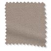 ColorizedSwatch  259